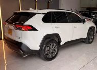Toyota RAV4 2.5 Limited Hev 4X4 Cvt