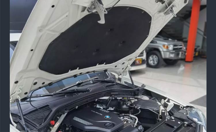 BMW X4 2.0 Xdrive20d Xline